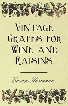 Vintage Grapes for Wine and Raisins