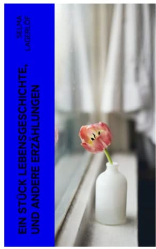 Ein Stück Lebensgeschichte, und andere Erzählungen