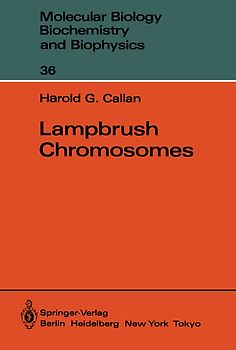Lampbrush Chromosomes
