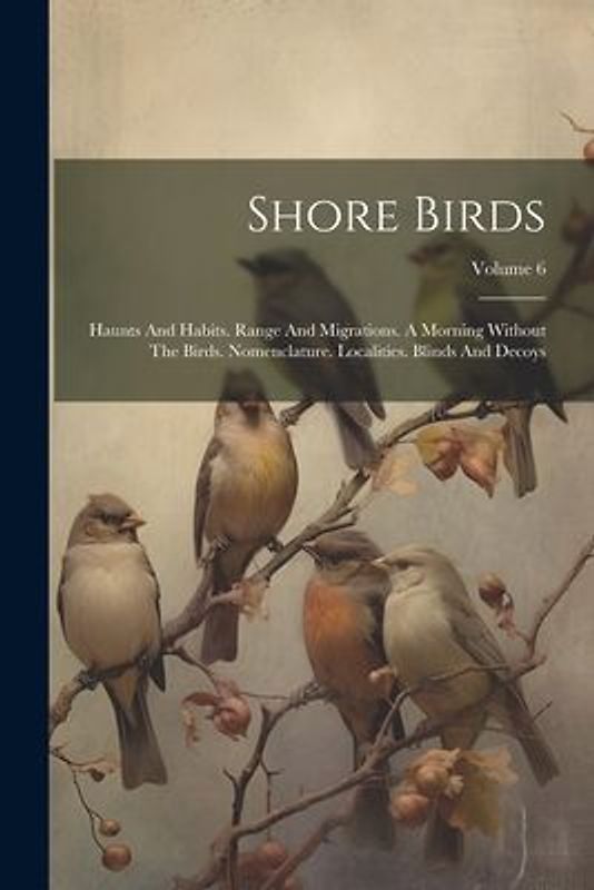 Shore Birds