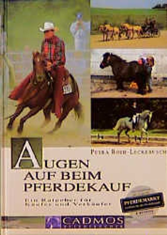 Augen auf beim Pferdekauf