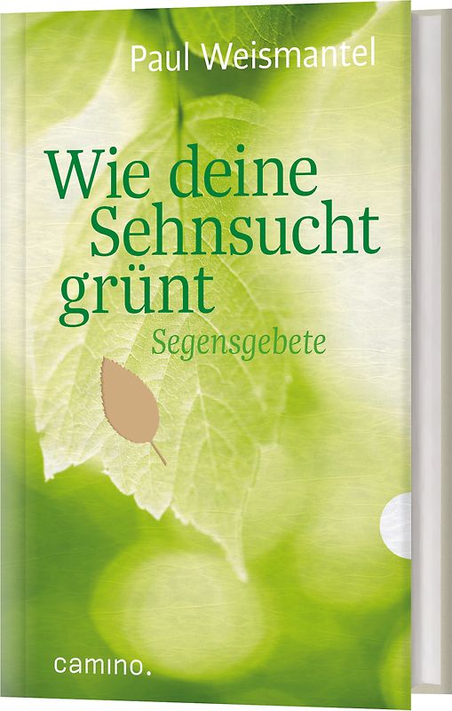Wie deine Sehnsucht grünt