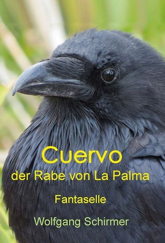 Cuervo – der Rabe von La Palma