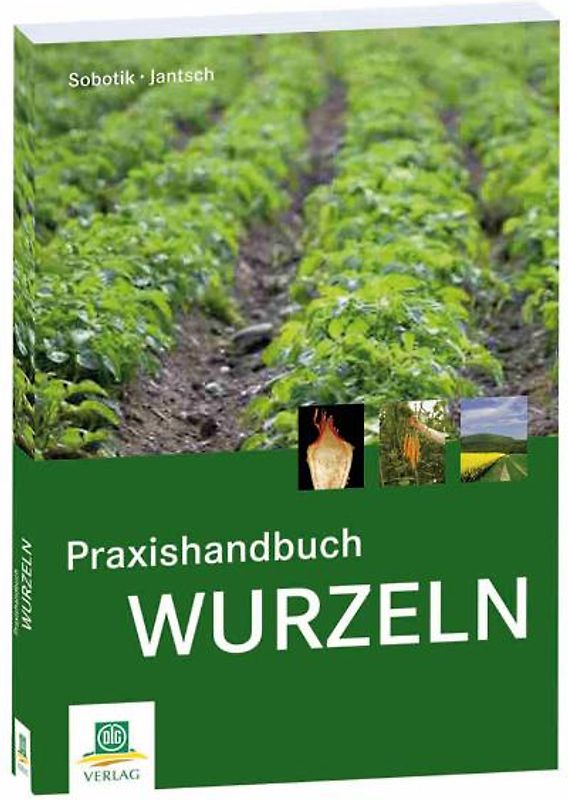 Praxishandbuch Wurzeln