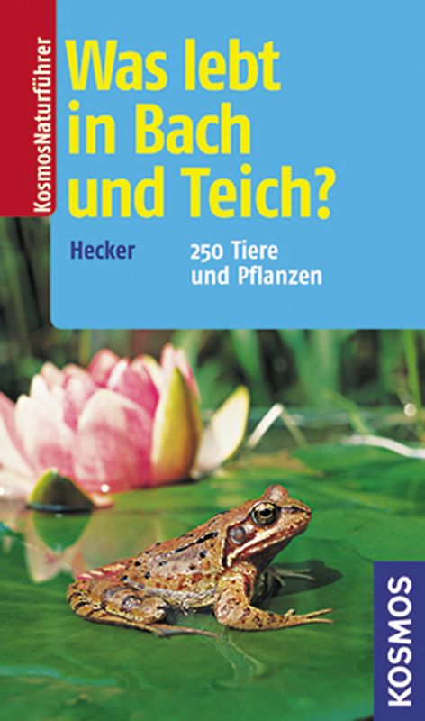Was lebt in Bach und Teich?