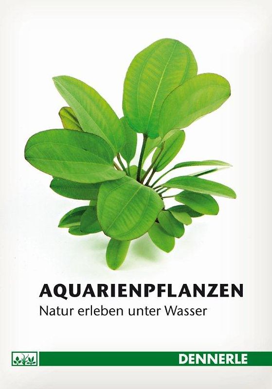 Aquarienpflanzen