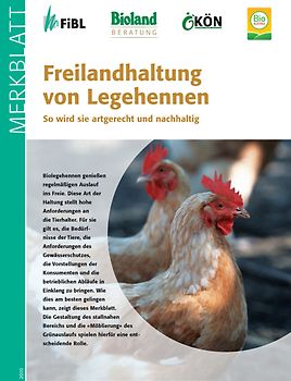 Freilandhaltung von Legehennen