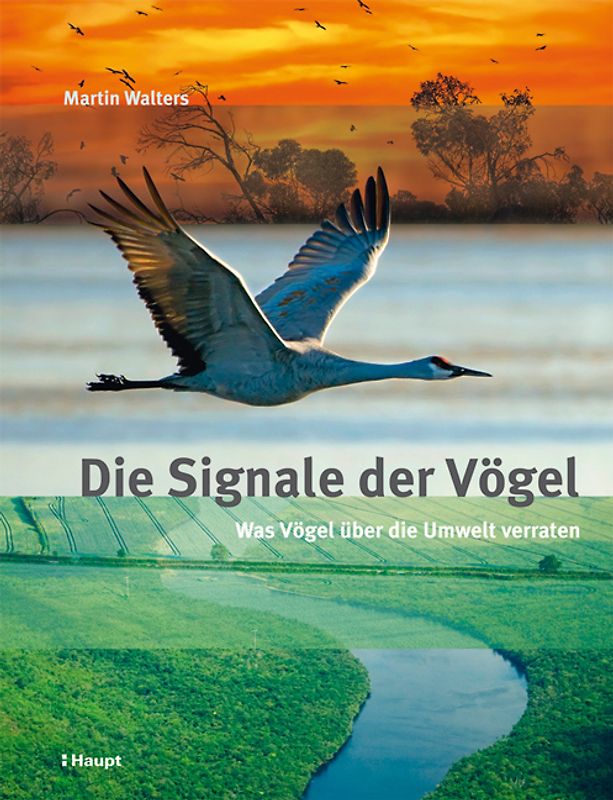 Die Signale der Vögel