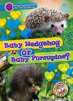 Baby Hedgehog or Baby Porcupine?