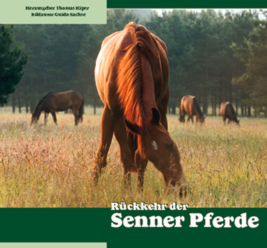 Rückkehr der Senner Pferde