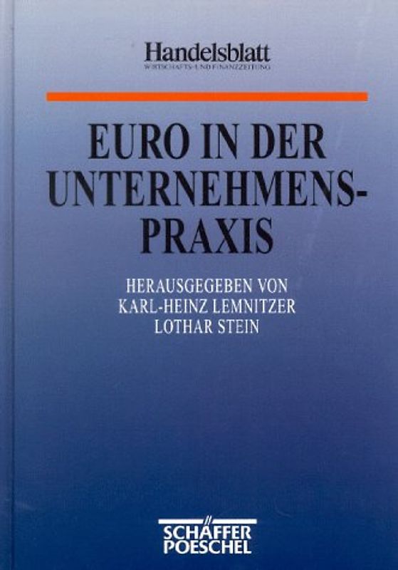Euro in der Unternehmenspraxis
