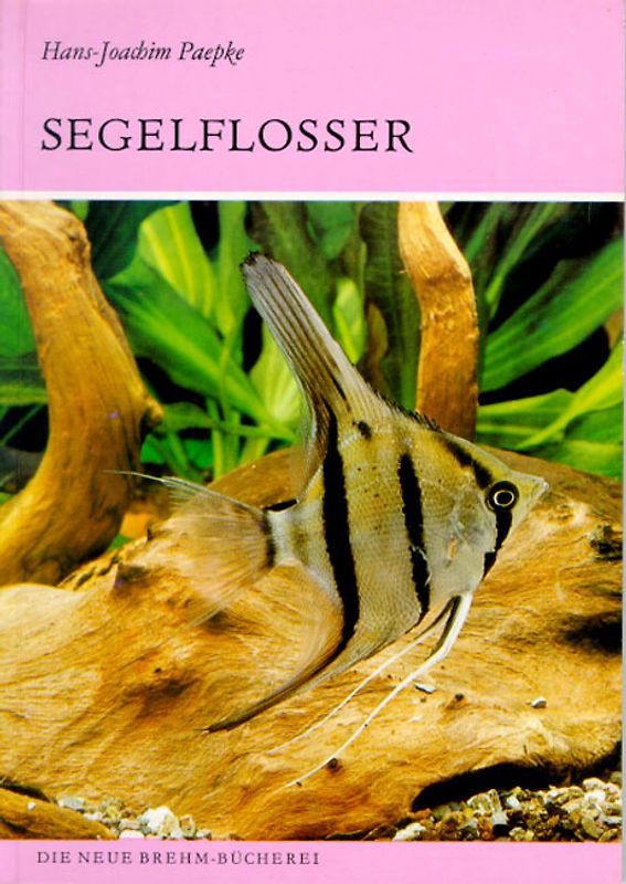 Die Segelflosser