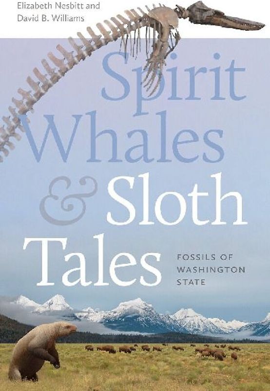 Spirit Whales and Sloth Tales