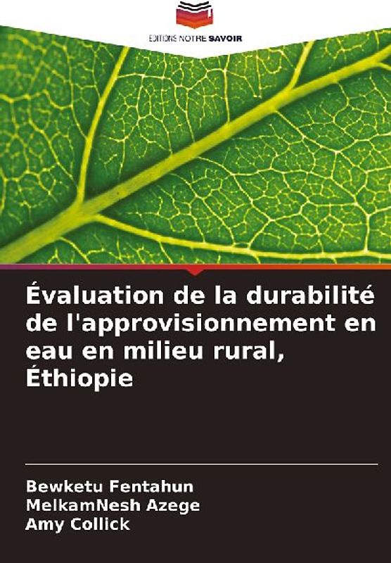 Évaluation de la durabilité de l'approvisionnement en eau en milieu rural, Éthiopie
