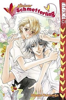 Kleiner Schmetterling 01