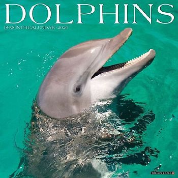 Dolphins 2026 12 X 12 Wall Calendar
