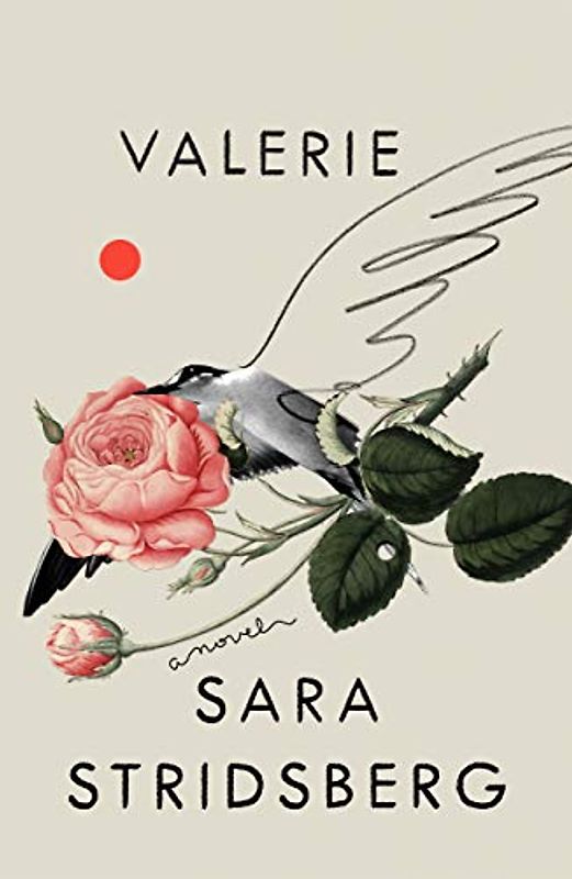 Valerie: Or, the Faculty of Dreams: A Novel: Or The Faculty of Dreams: Amendment to The Theory of Sexuality