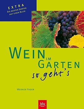 Wein im Garten – so geht's