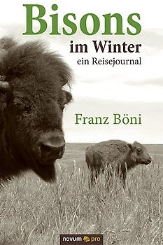 Bisons im Winter