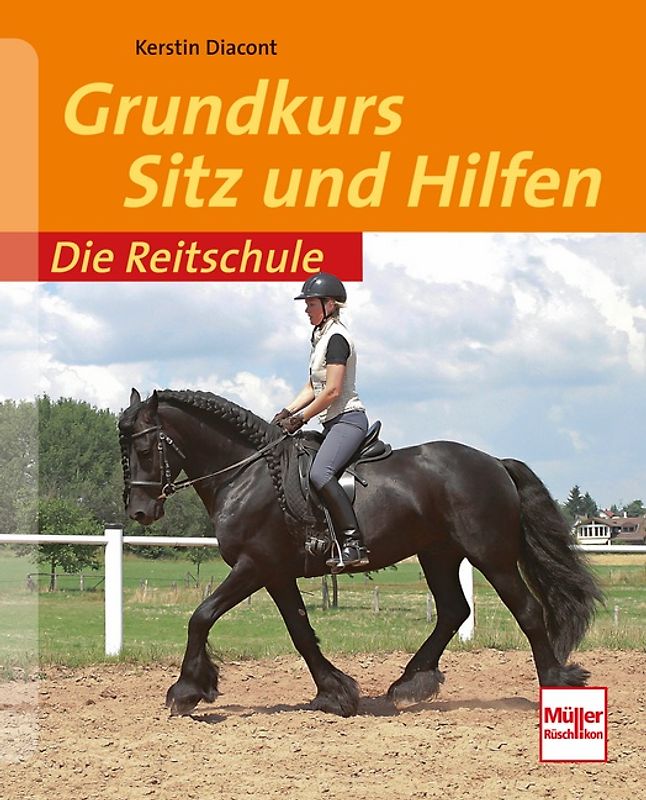 Grundkurs Sitz und Hilfen