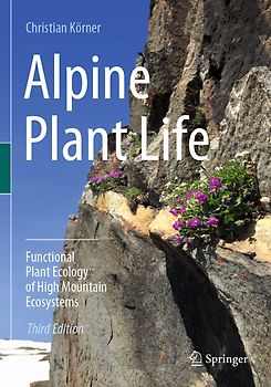 Alpine Plant Life