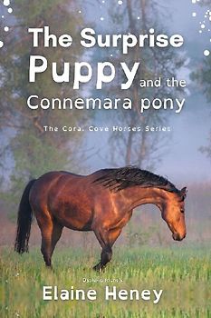 The Surprise Puppy and the Connemara Pony - Dyslexia Friendly