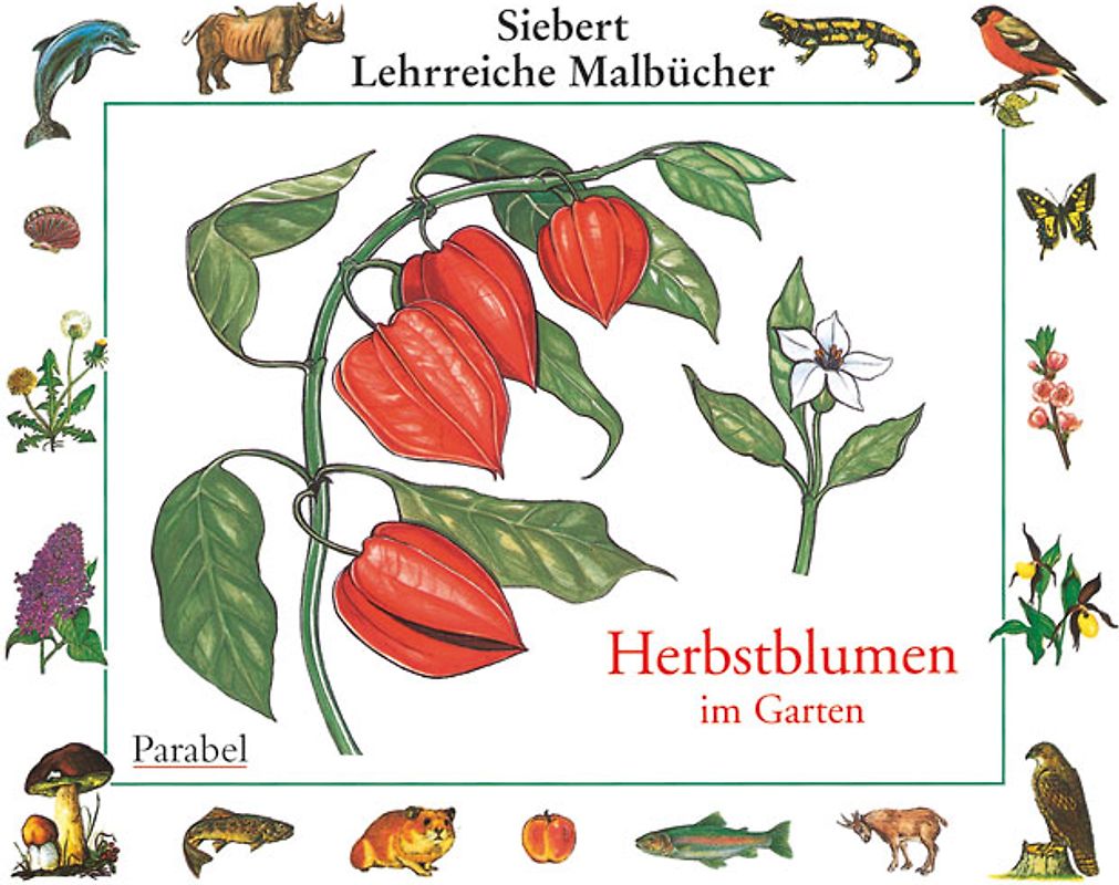 Herbstblumen. Malbuch