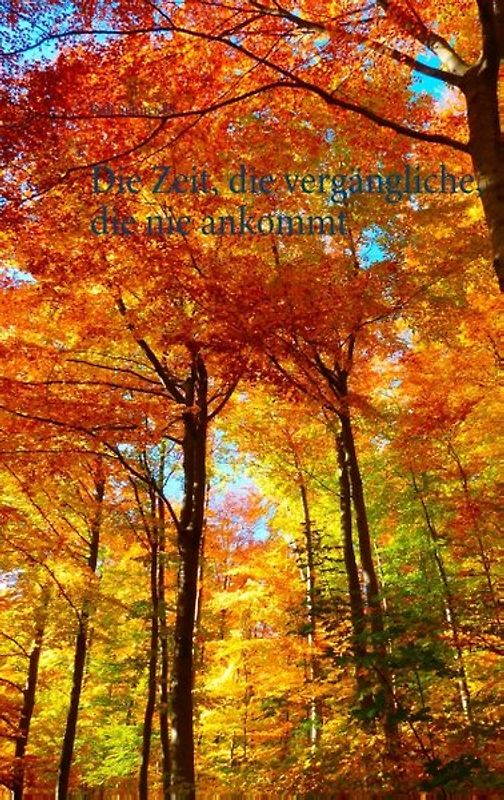 Die Zeit, die vergängliche, die nie ankommt