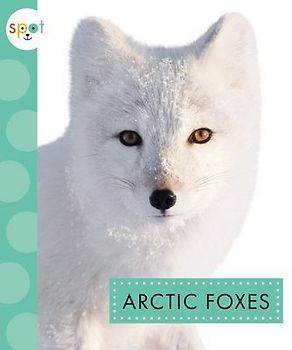 Arctic Foxes