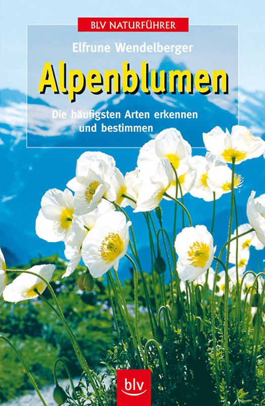 Alpenblumen