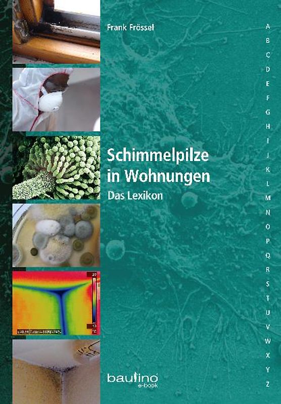 Schimmelpilze in Wohnungen