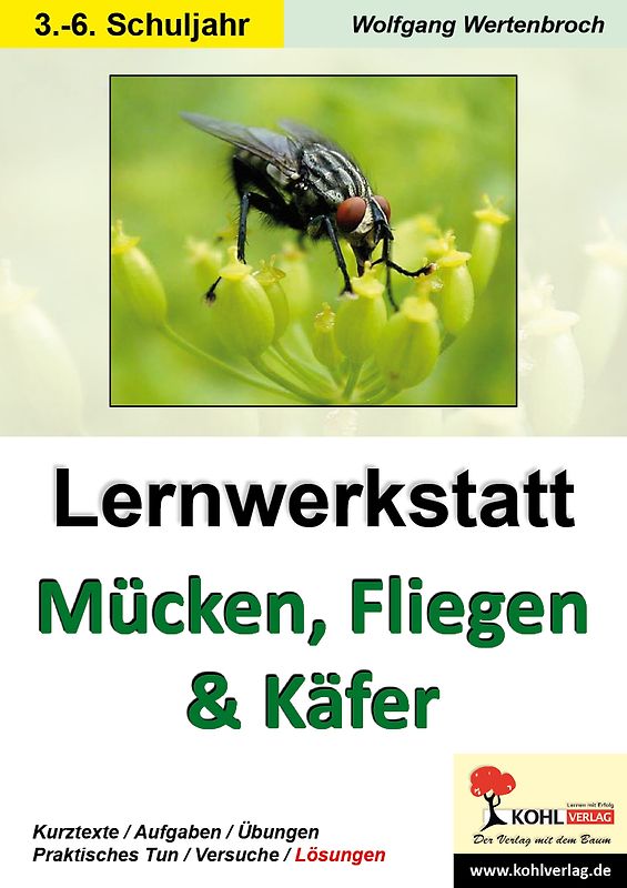 Lernwerkstatt Mücken, Fliegen und Käfer