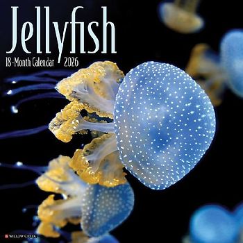 Jellyfish 12 X 12 Wall Calendar