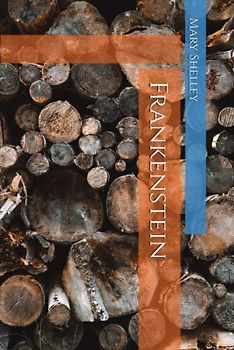 Frankenstein: The Original 1818 Edition