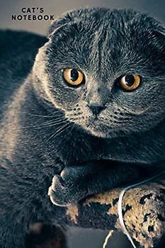 CAT: A notebook with beautiful pictures of cats, good for school, work and home. 110 pages of squared paper on high quality paper bound in a durable cover that protects the interior well.