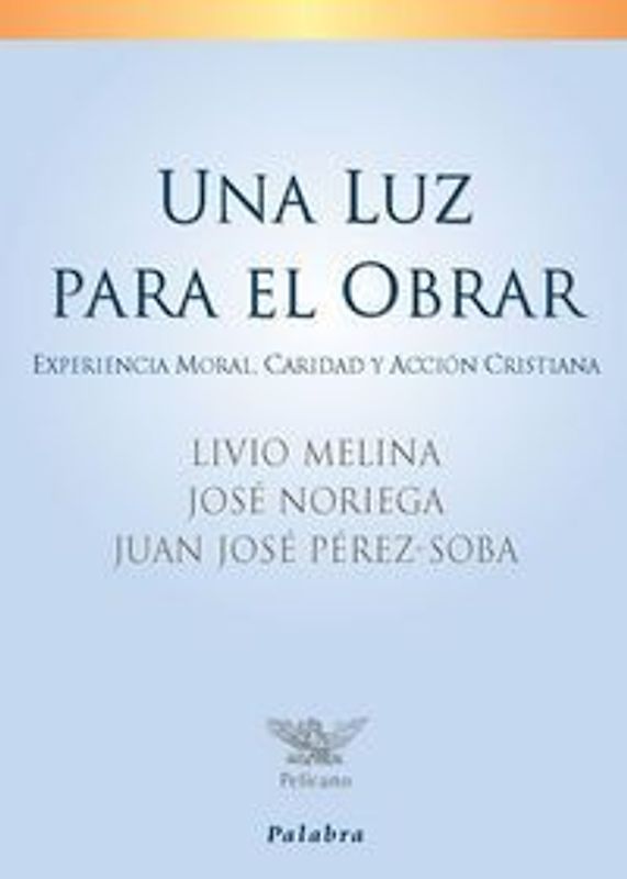 Una luz para el obrar : experiencia moral, caridad y acción cristiana