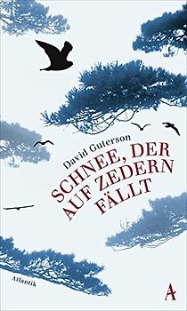 Schnee, der auf Zedern fällt