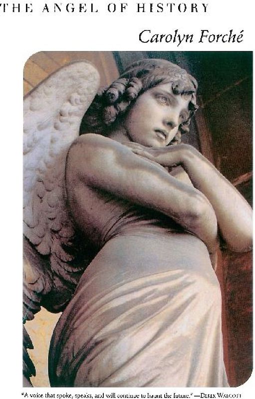 The Angel of History