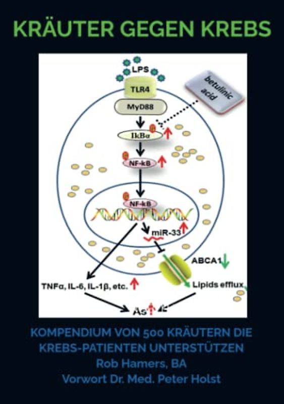 Kräuter gegen Krebs