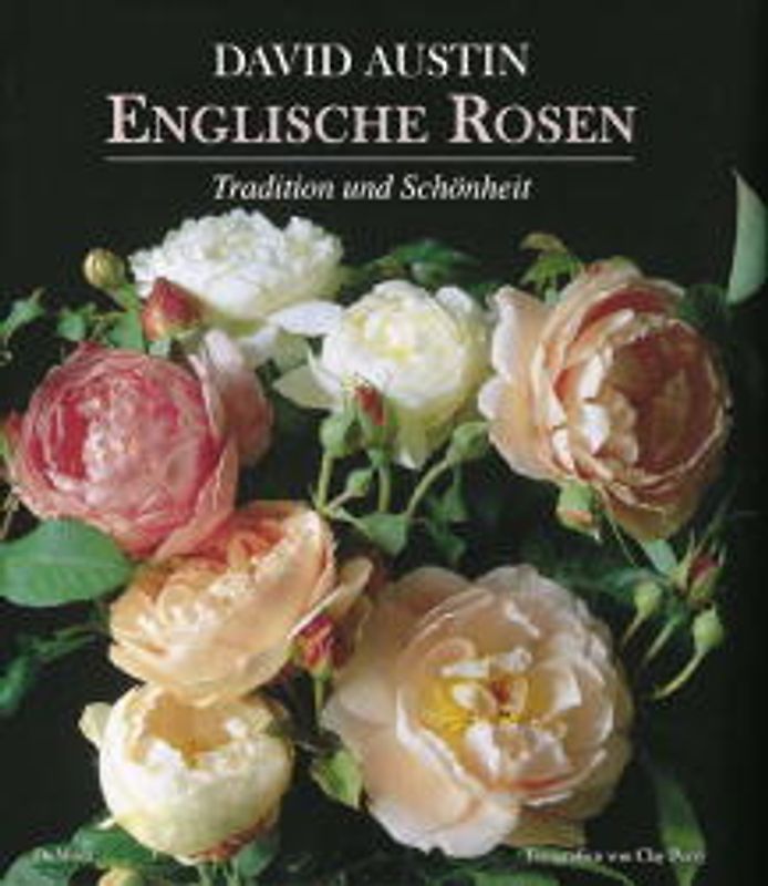 Englische Rosen. Tradition und Schönheit