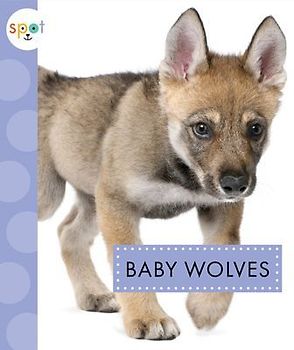 Baby Wolves