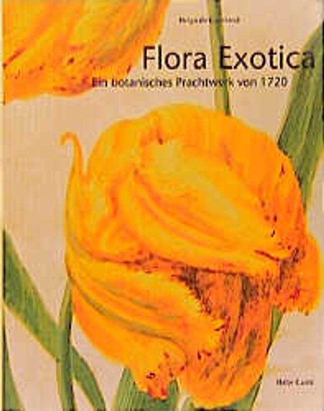 Johann Georg von Dernaths "Flora Exotica" von 1720