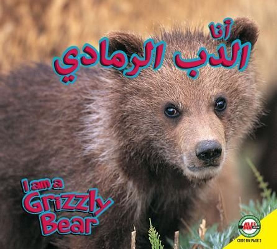 Grizzly Bear