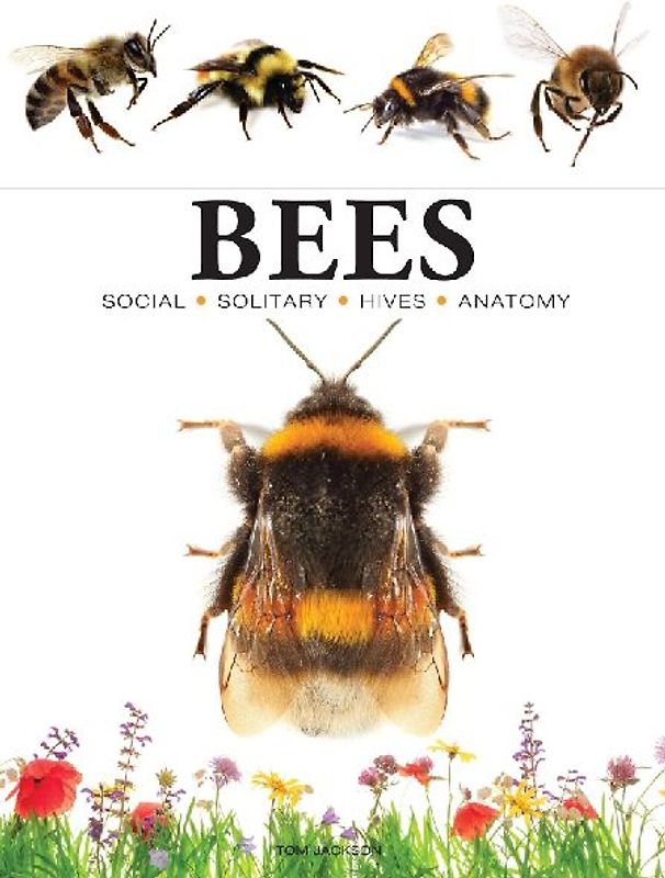 Bees