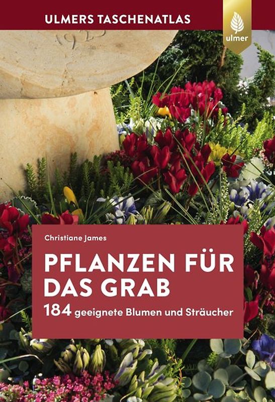 Pflanzen für das Grab