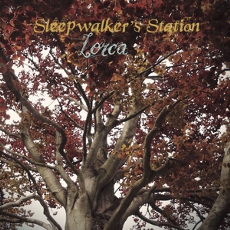 Sleepwalker?s Station - Lorca