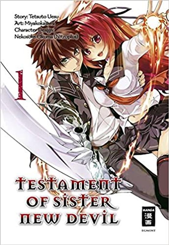 Testament of Sister New Devil 01