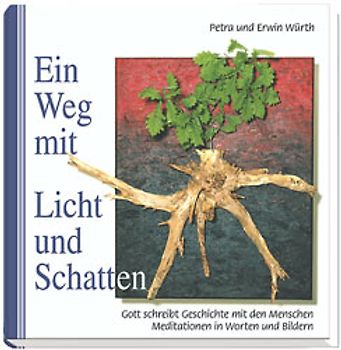 Ein Weg mit Licht und Schatten