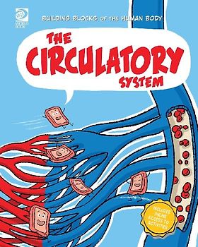 The Circulatory System