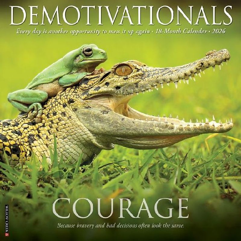 Demotivationals 2026 12 X 12 Wall Calendar